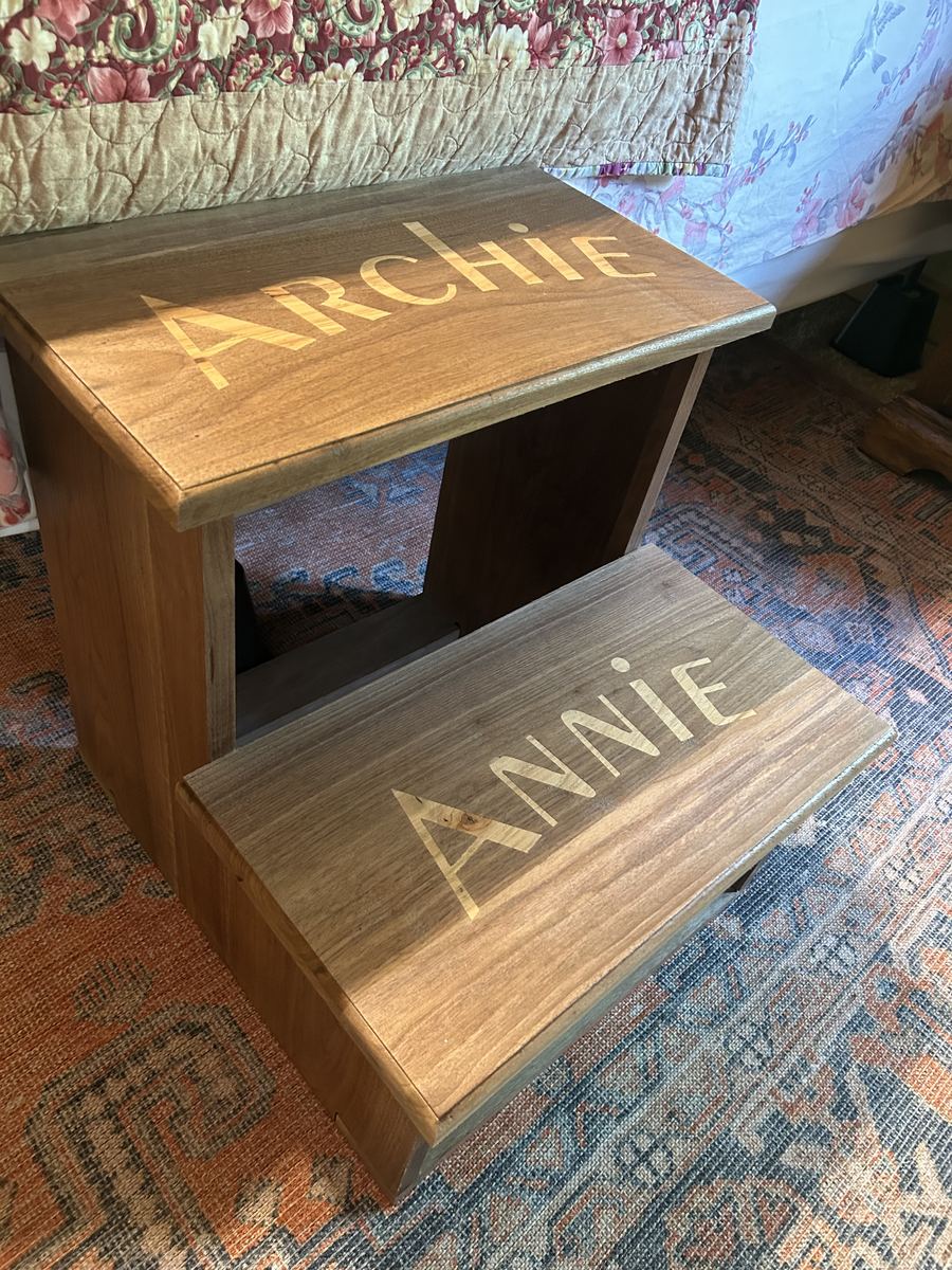 Custom pet steps with name inlays